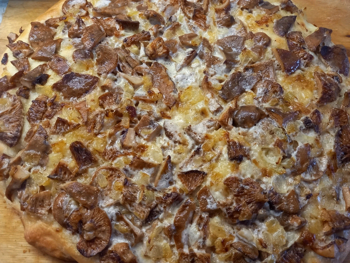 С солёными рыжиками и луком пирог