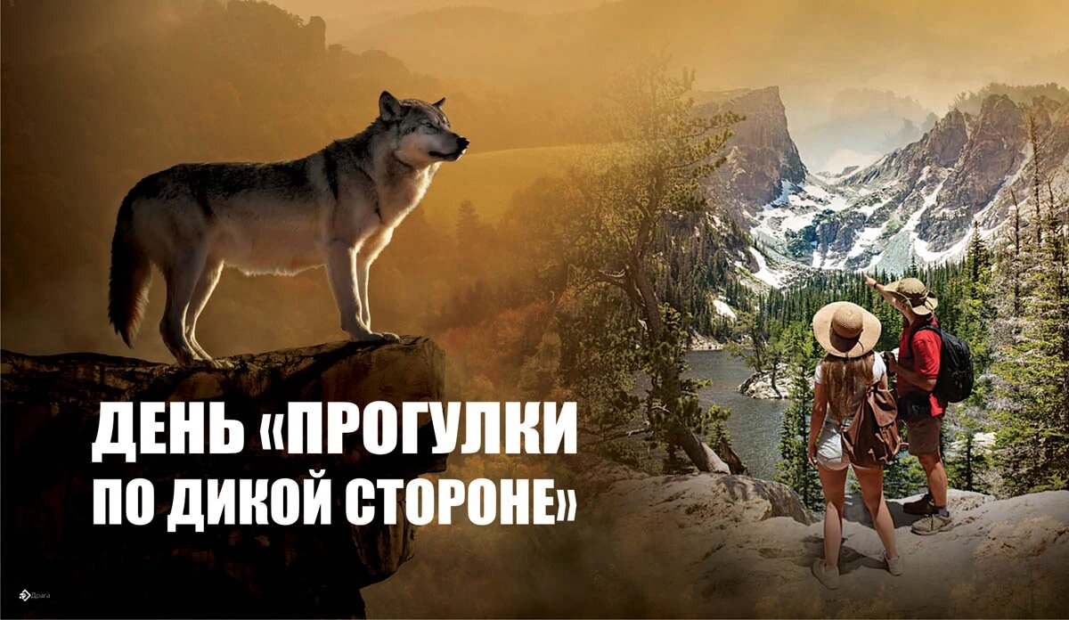 День «Прогулки по дикой стороне». Иллюстрация: «Курьер.Среда»