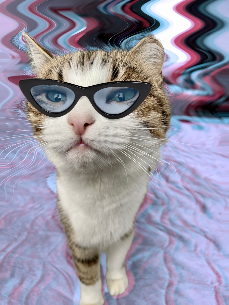 Братья наши меньшие - те еще манипуляторы :)