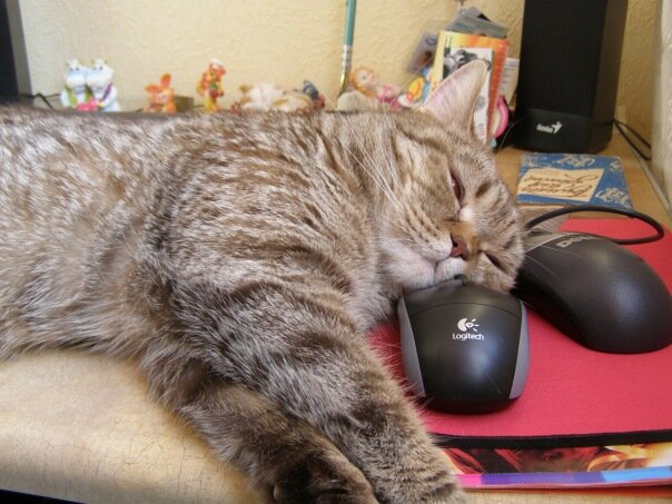 Источник: Яндекс картинки