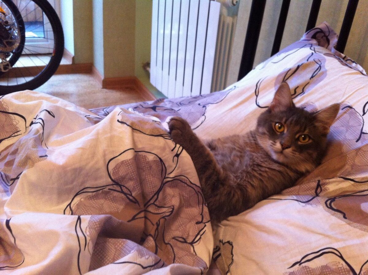 Источник: https://fikiwiki.com/ljubov-i-otnoshenija/144-prikolnye-kartinki-idi-ko-mne-54-foto.html