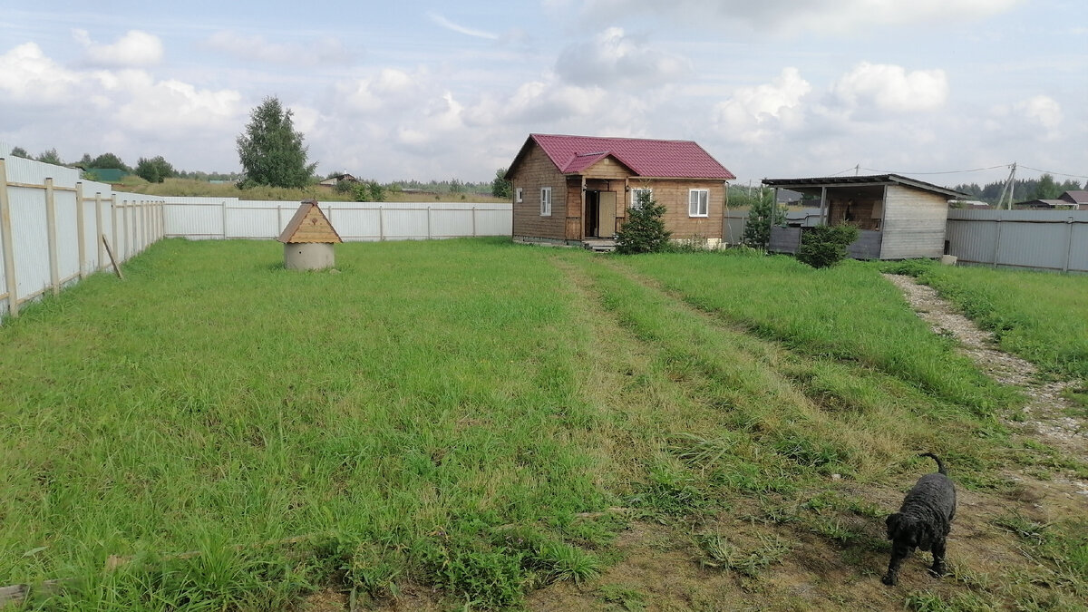 Вот такой участок мы купили. 