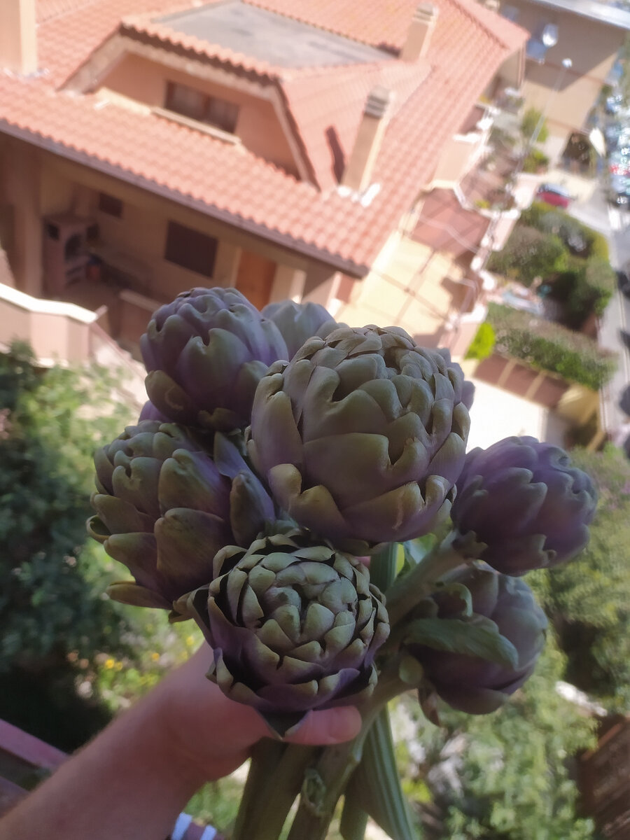 Вот токой букетик