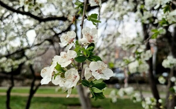    Фото: Екатерина Иванова. UG.RU