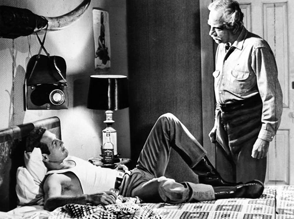 Кадр из фильма "Хад" (1963)