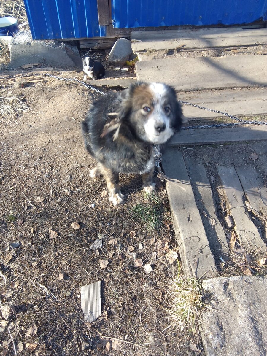 Когда мне рассказывают об очередном случае в Дюртюлях, я даже не понимаю, а люди ли там живут? Или несколько человек среди дикарей?