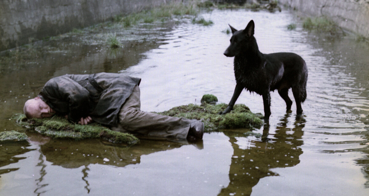 Кадр из фильма «Сталкер»