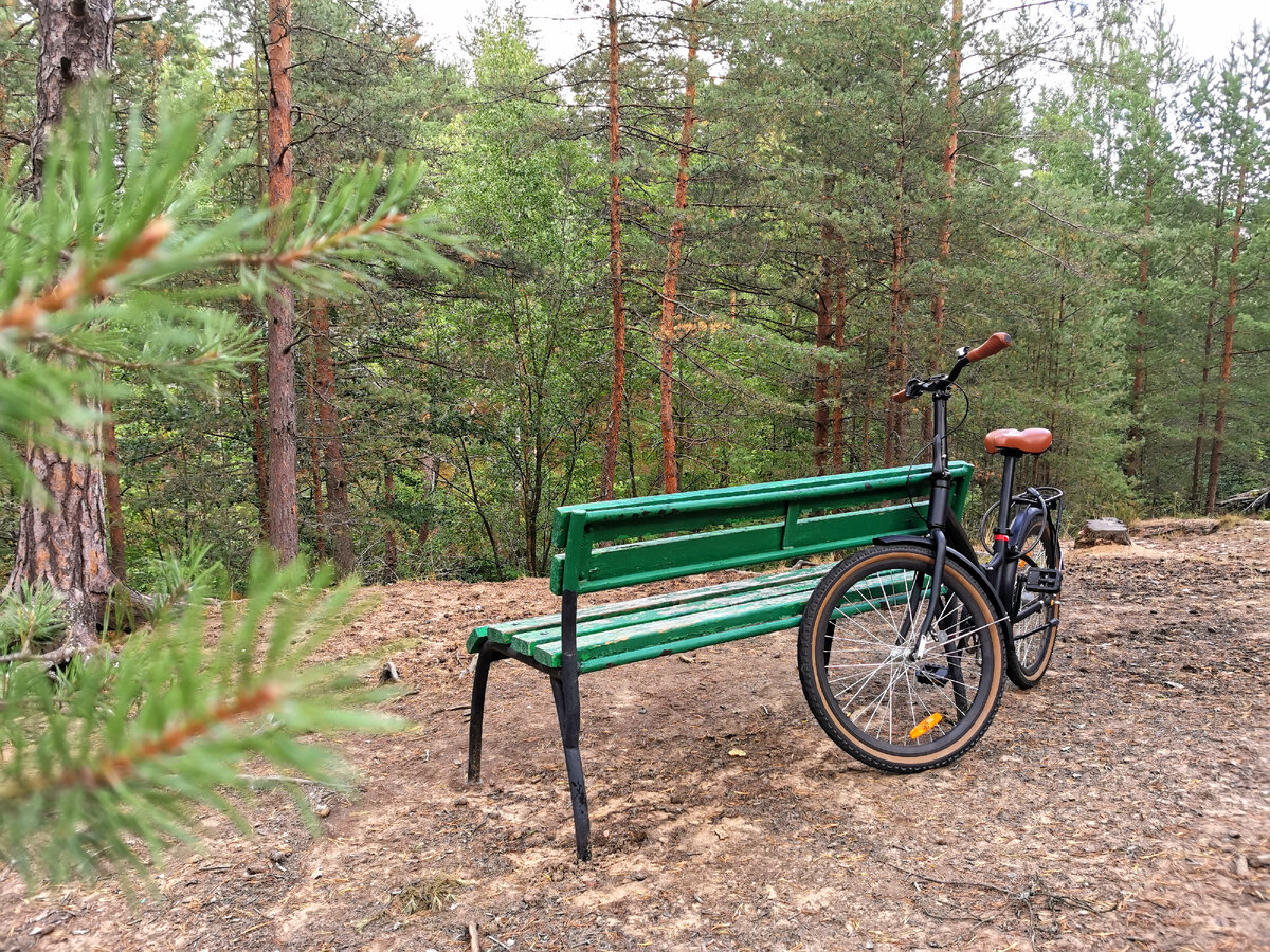 На реке Сестре