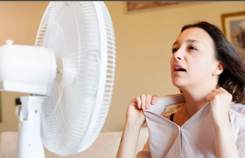 Фото: https://mavink.com/explore/Hot-Flash-Sweating