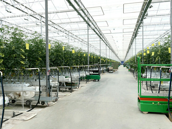      © Фото из открытых источников