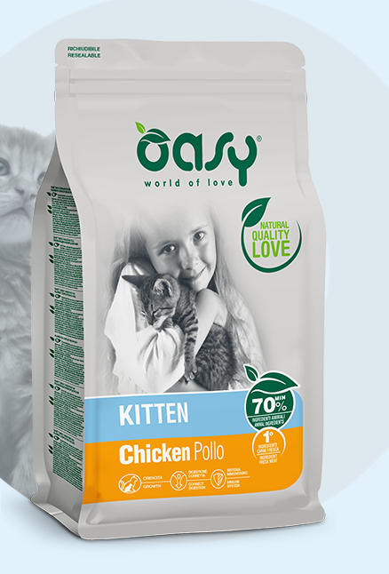 OASY •LIFESTAGE • Kitten Chicken