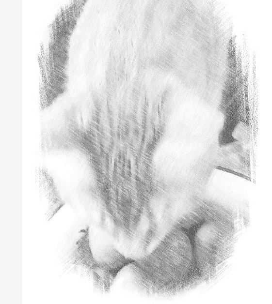 Личное  фото.