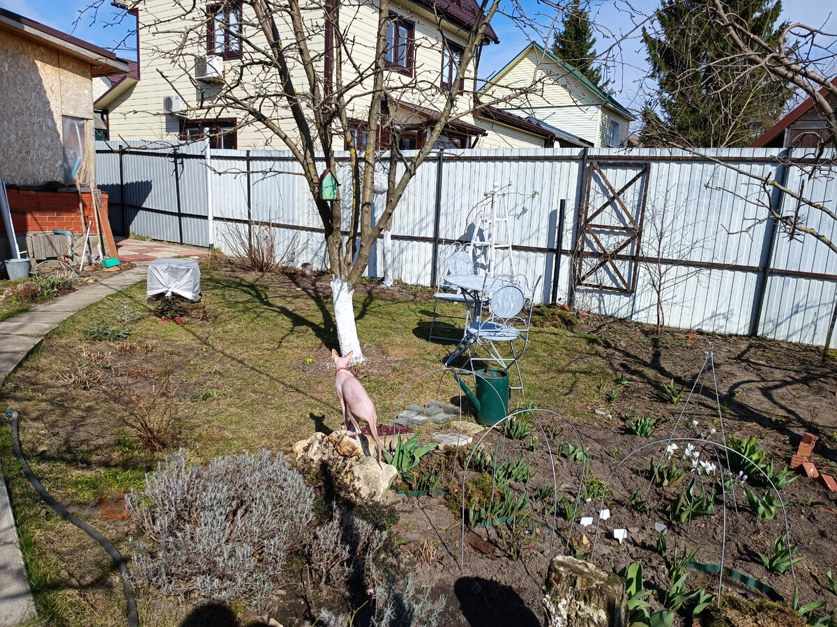 Аки лев на скале сидит наш голопоп Филя!