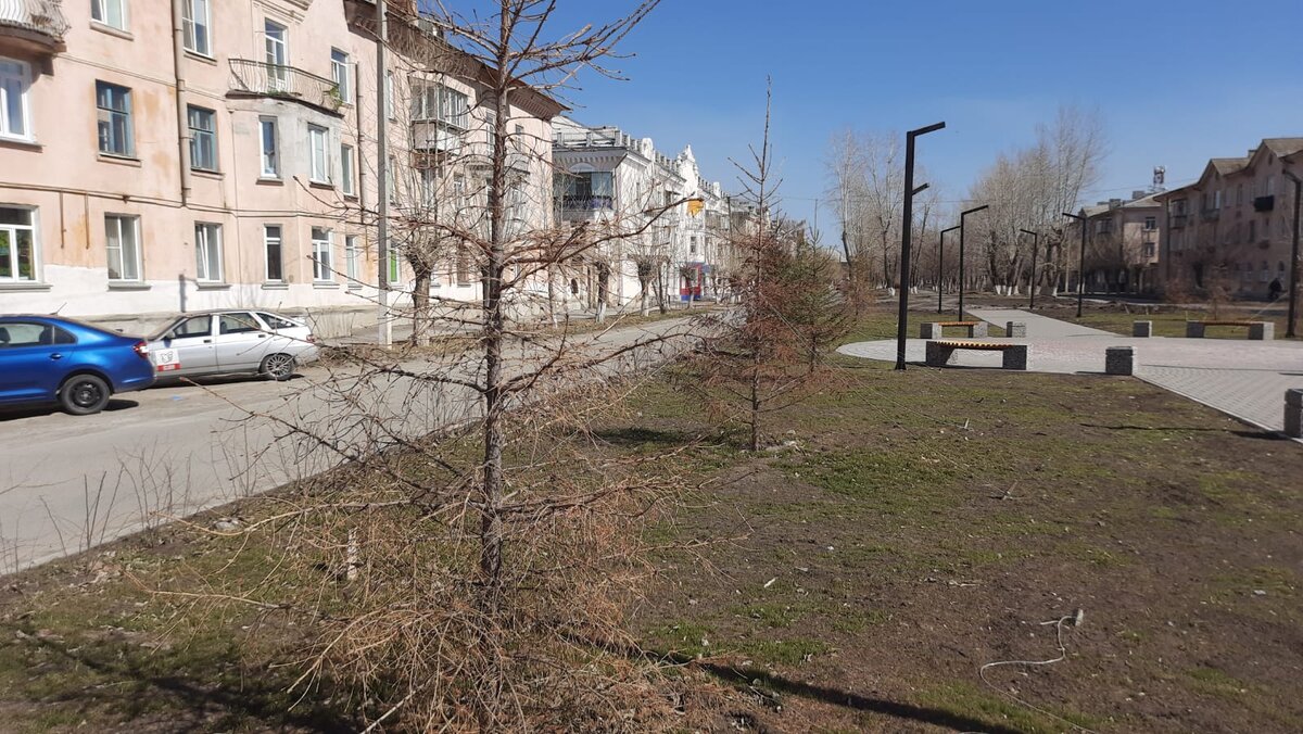 Все деревья под замену