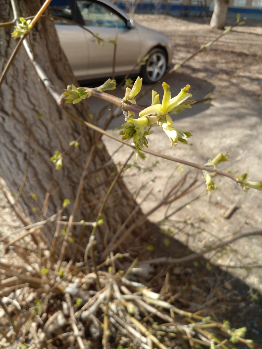 Фото автора 2023