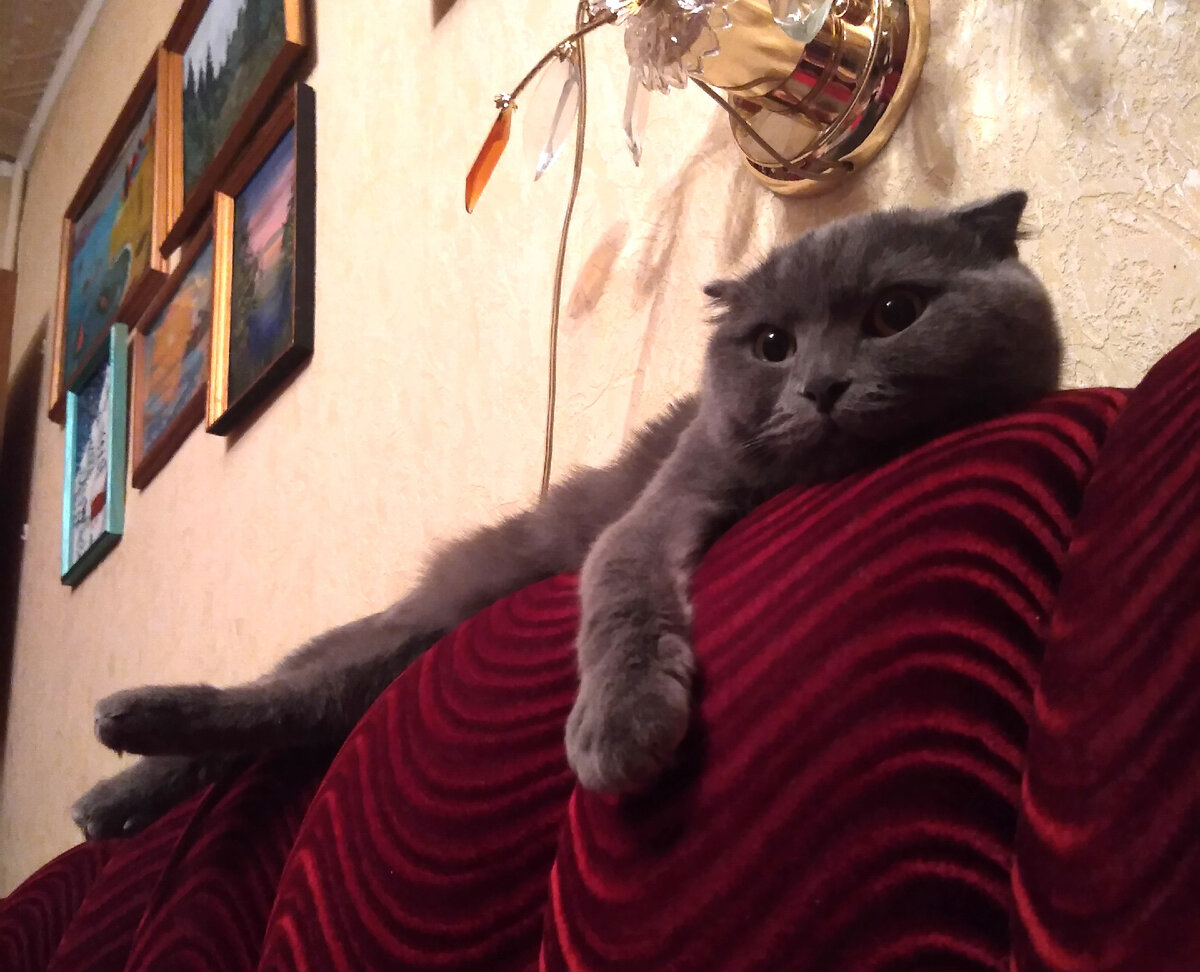 Думай-думай, а я пока полежу...