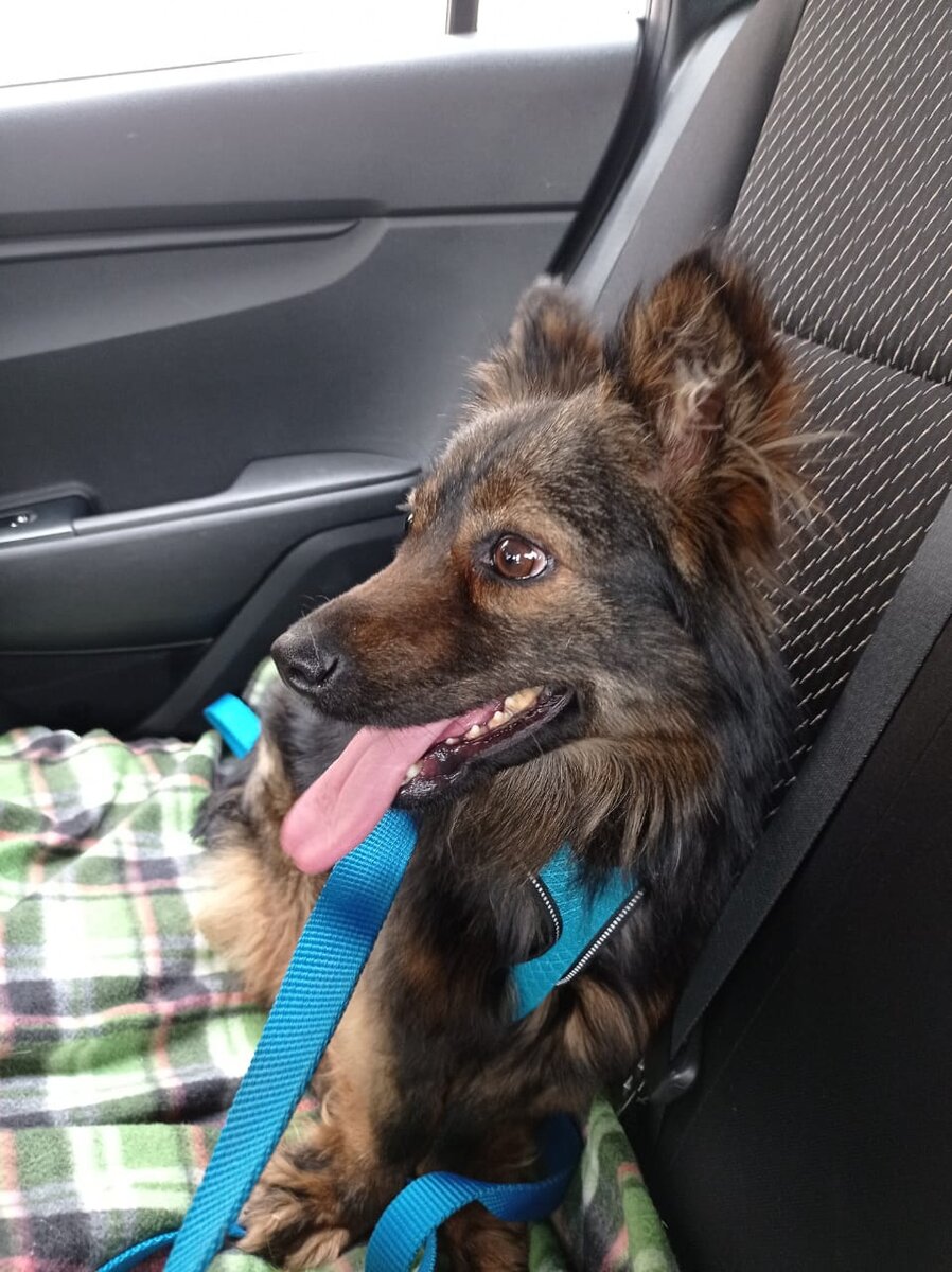 Я еду домой