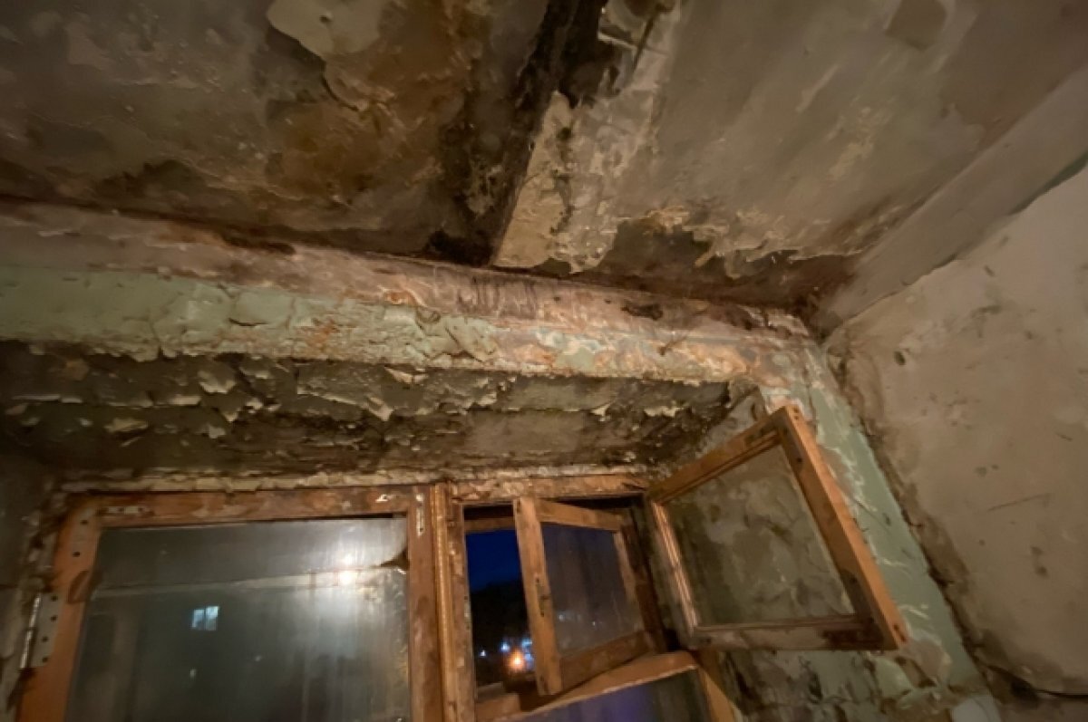    Жители хабаровского дома жалуются на дождь в подъезде и грибок на стенах