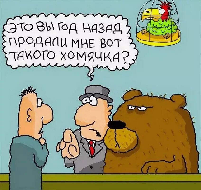 Анекдот про 2 медведей. Анекдот про хомяка. Анекдот про хомячка. Анекдот про медведя. Анекдоты про хомяков.