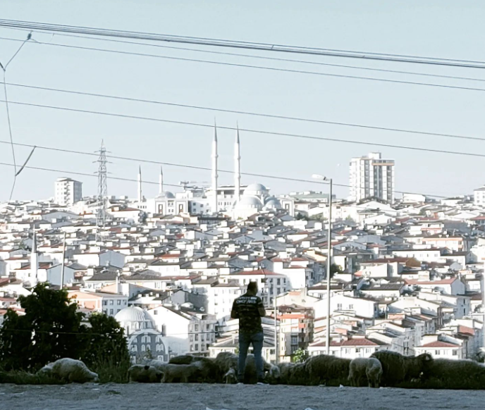 Стамбул - город контрастов