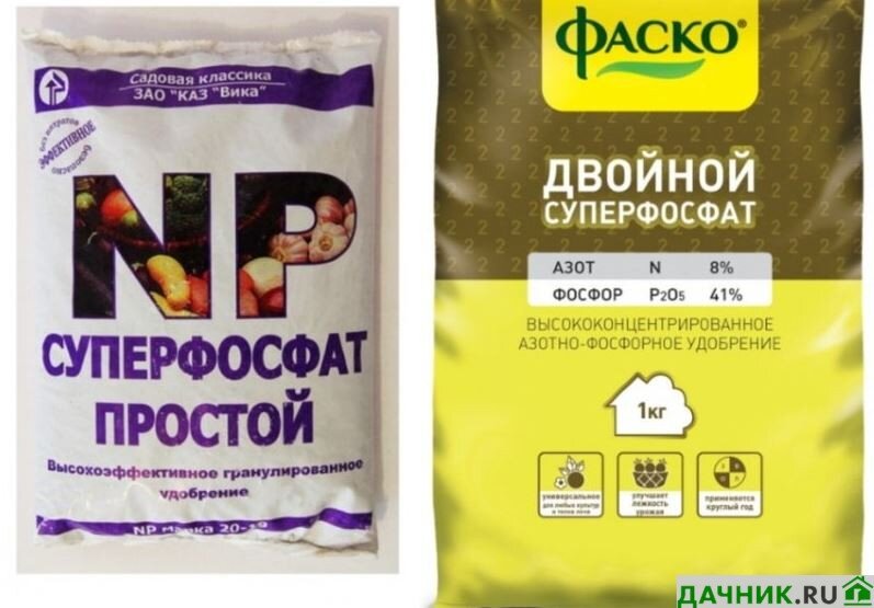 5. Полейте почву