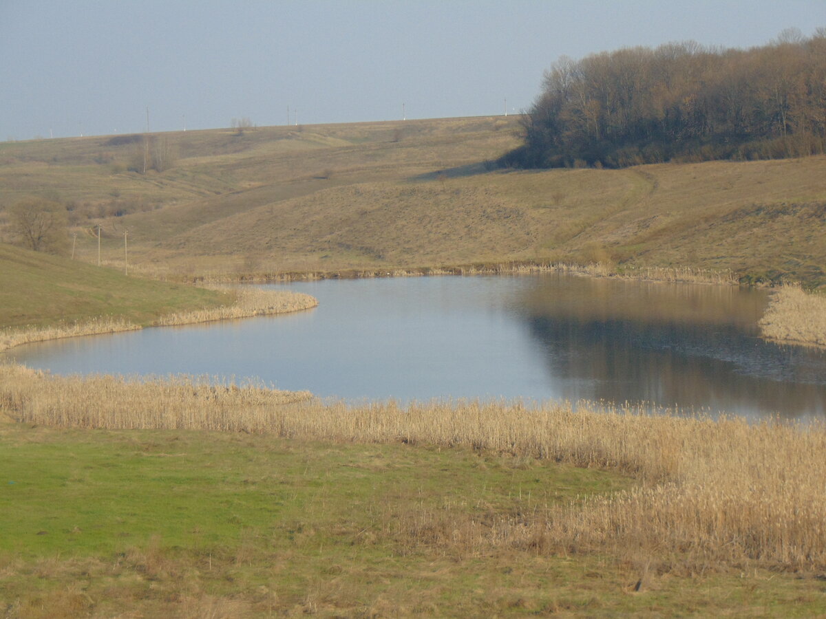 Фото автора канала