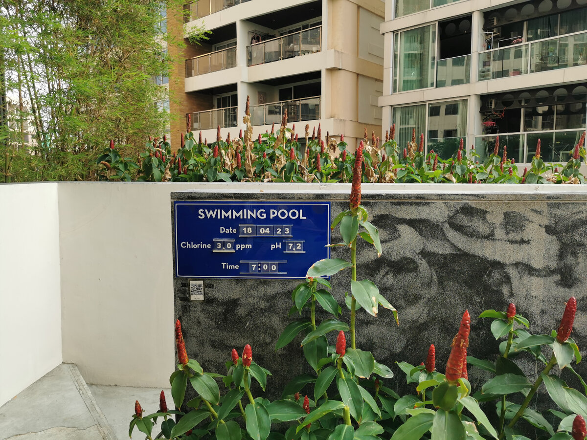 Фото от 18 апреля 