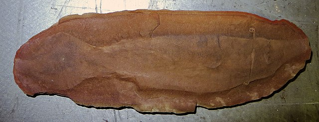 Вот примерно так оно сейчас выглядит. Не удивительно, что учёные в непонятках.