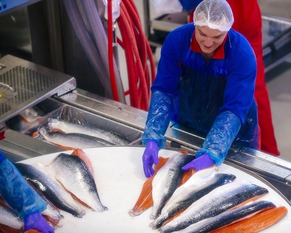 А это попроще, разделка и сразу засолка