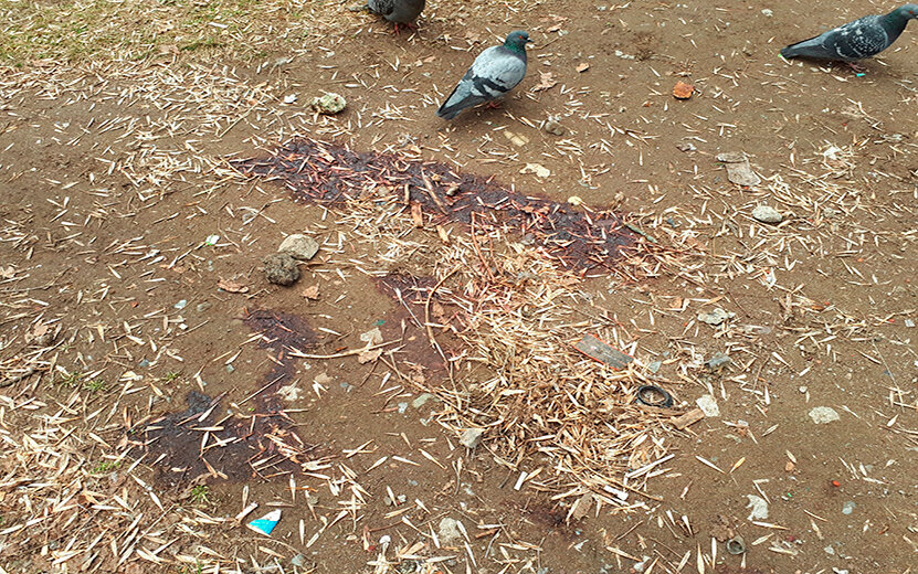 Пятна крови не убрали до сих пор. Фото: Анастасия Захарова