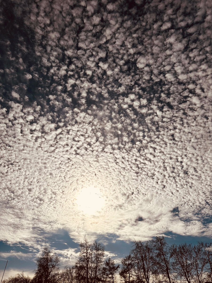 Перисто-кучевые облака