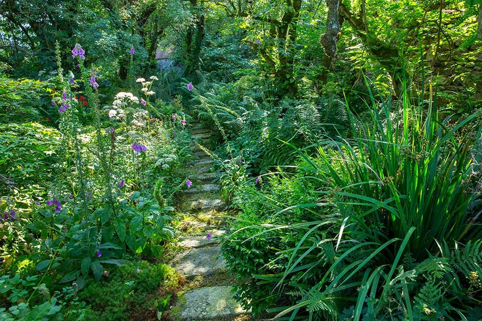 Зрелые сады могут преподнести множество сюрпризов