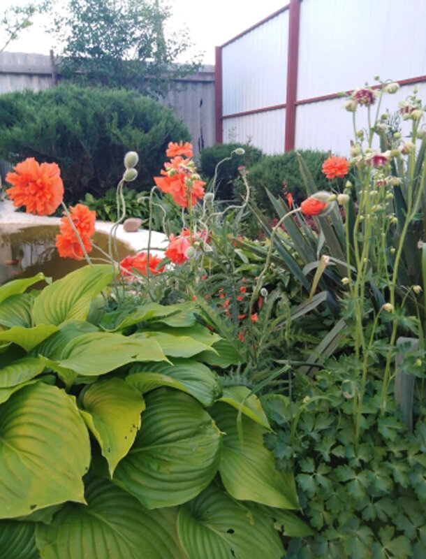 2. В галерее 3 фото, листайте