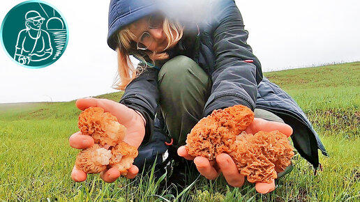 🍄 Прогулка за степными сморчками 🌼 Все самое интересное началось по дороге домой