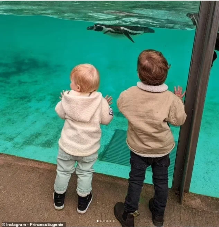 Фото из сети Интернет