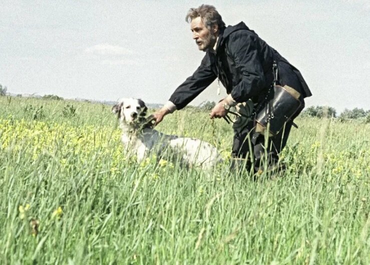 У всех бездомных собак когда-то были хозяева. Это, наверное, самая известная цитата из фильма «Белый Бим Черное ухо» 1976 года.-5