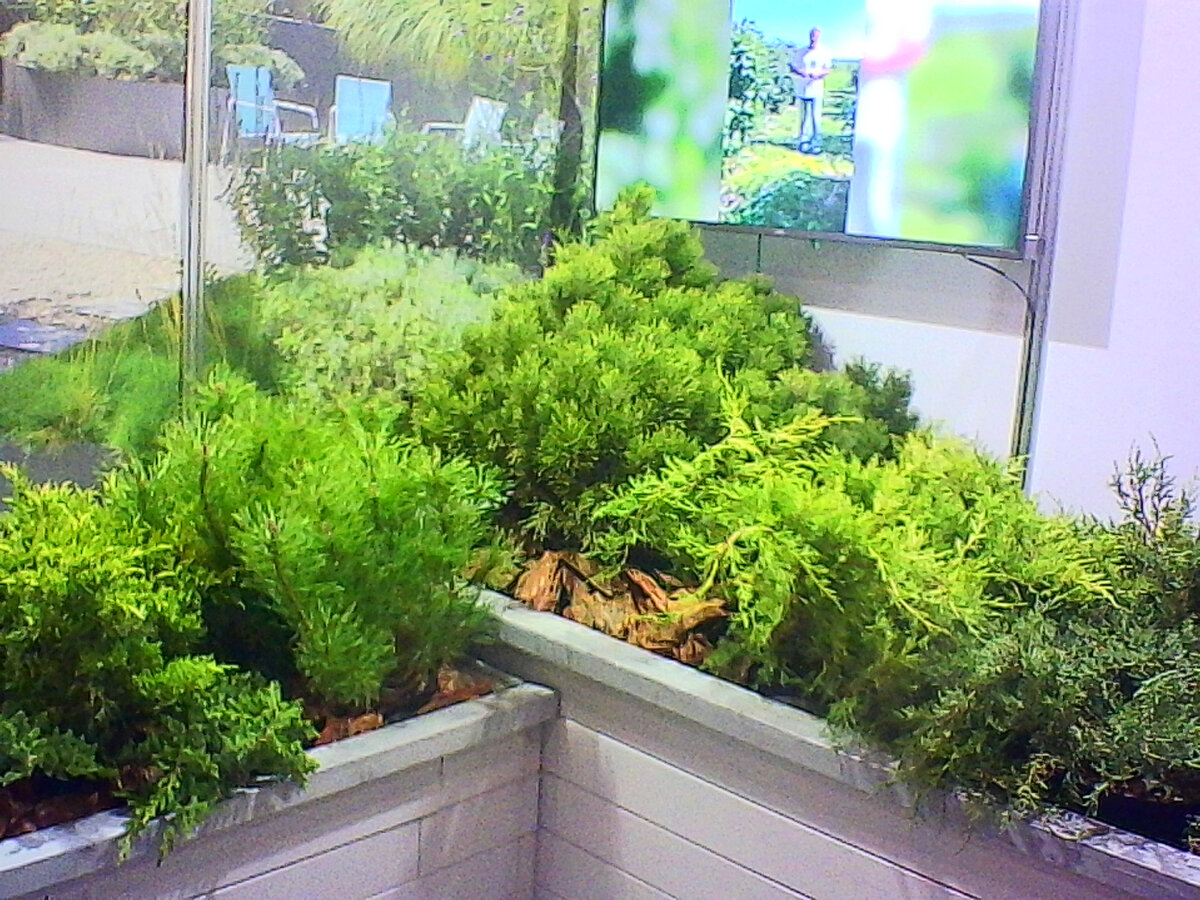 Выставка " Строим дом" , "Интерьерный салон " и "Инженерные системы" в апреле 2023 года в Экспофоруме в Питере (фото Автора).