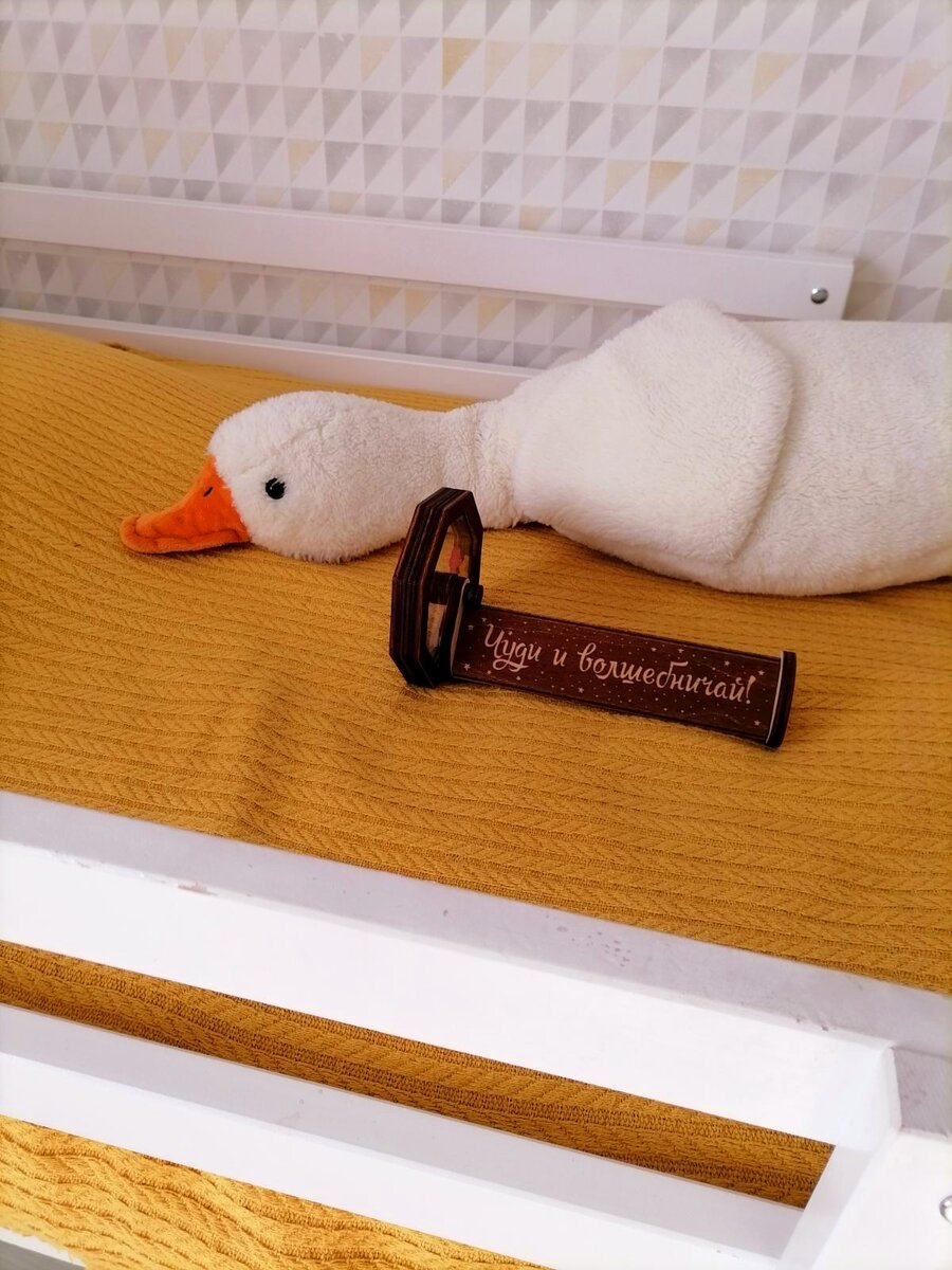 В этом конкретном случае призом послужил телескоп. Любимый гусь мальчика - Мартин, охранял его под  крылом до появления хозяина