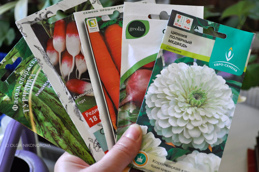 Сажать можно много разных культур!