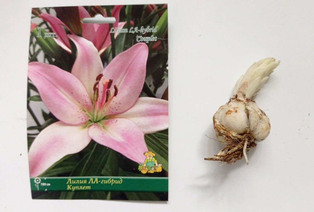 Распродажа с Ашана