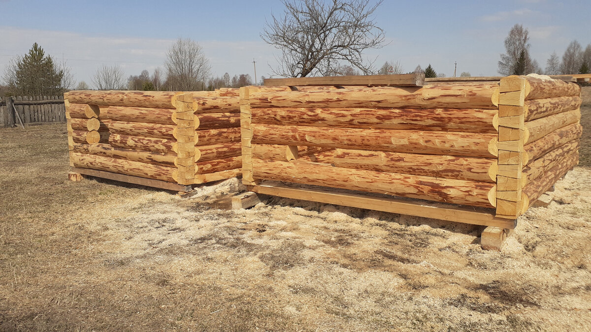 Возле сруба был толстый слой опилок, который я перевезла...