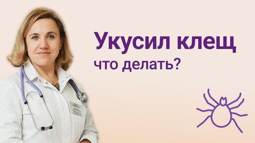 Укусил клещ какой врач