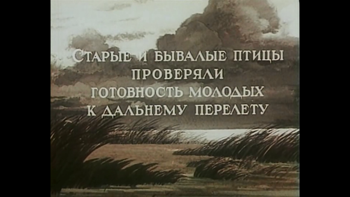 Отличные задние фоны русской природы.