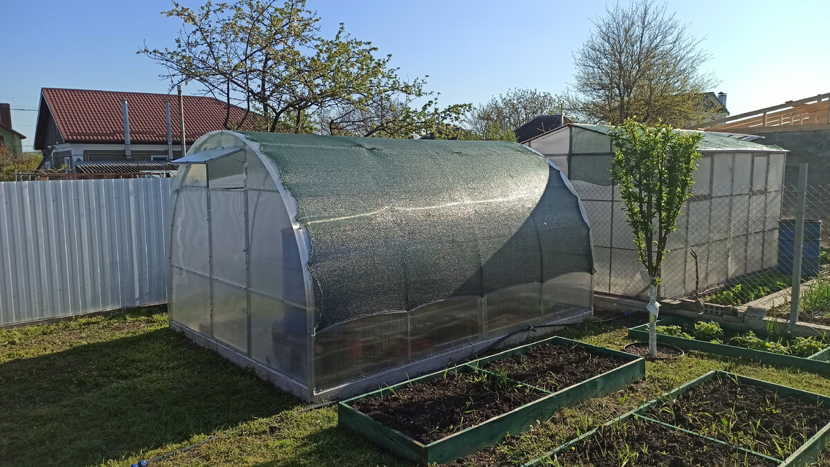 Наша первая тепличка на юге