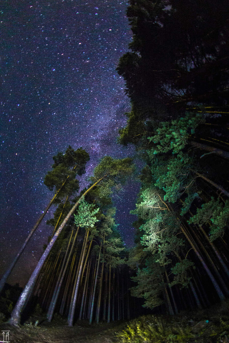 фото из интернета