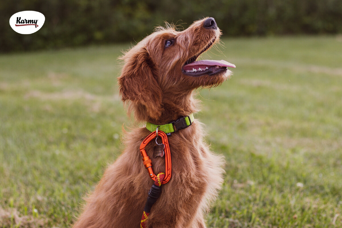 Авторское изображение с использованием картинки с фотостока "Unsplash"