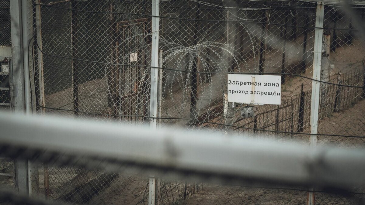     Такой возможностью будут обладать уполномоченные по правам предпринимателей во всех регионах.