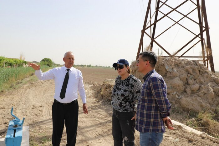 Источник фото: undp.org