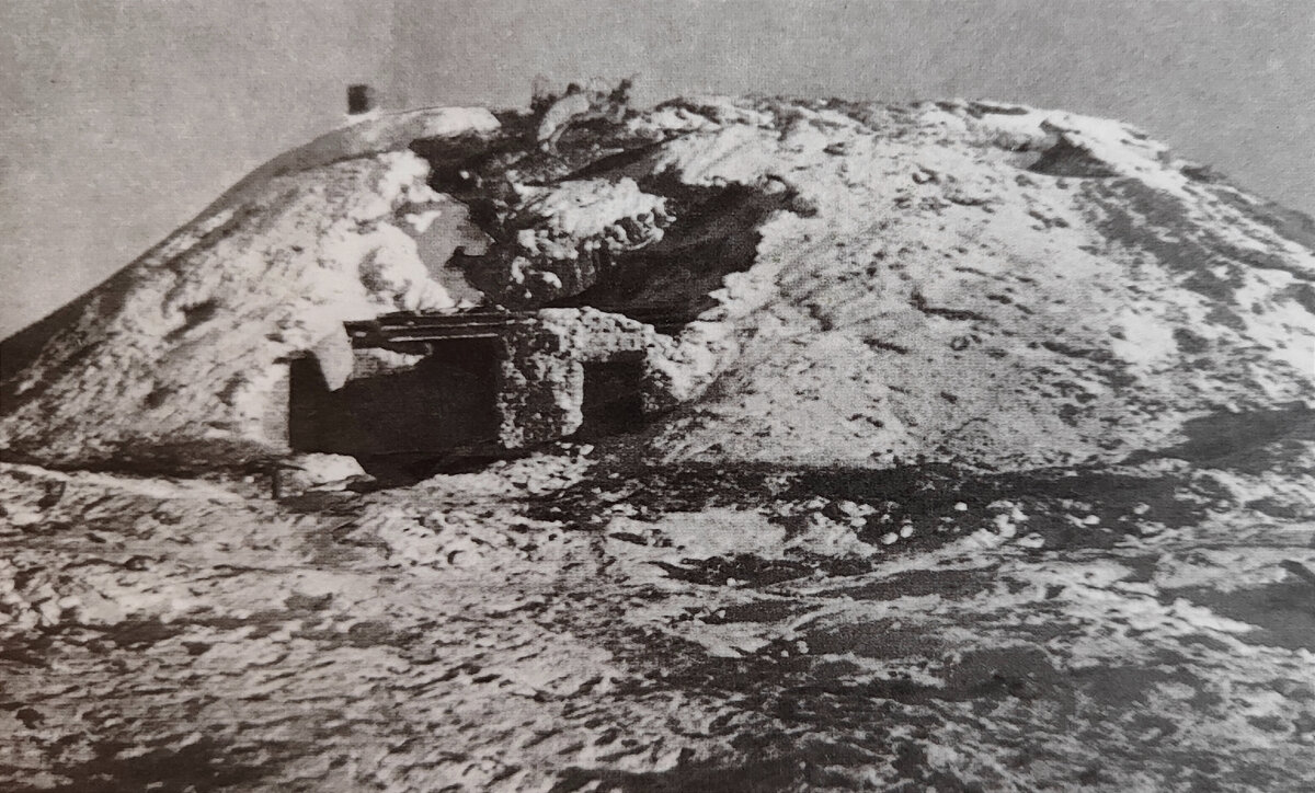 Фото Г. Зельмы. 