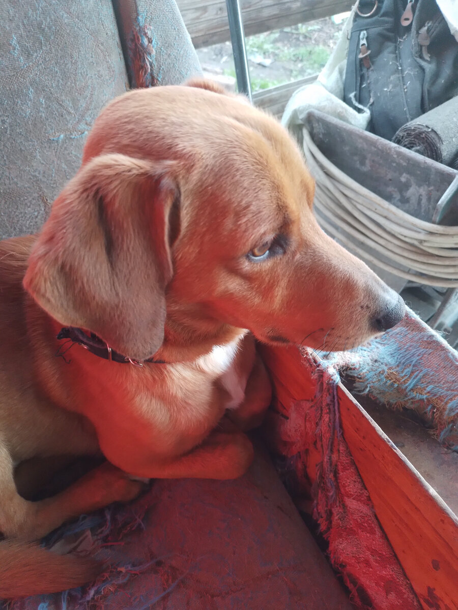 Довольный Нафаня)